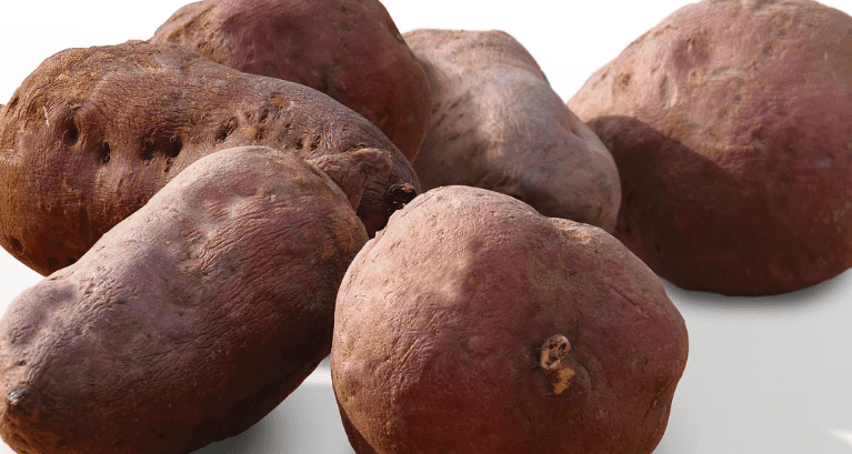 내장 지방 빼는 음식 고구마2