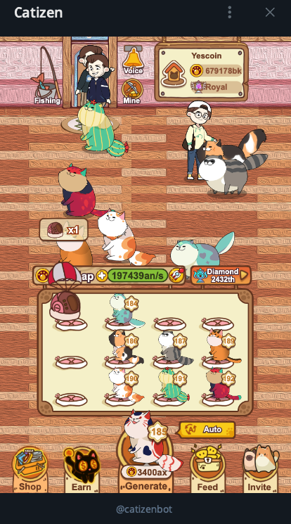 캣티즌 catizen