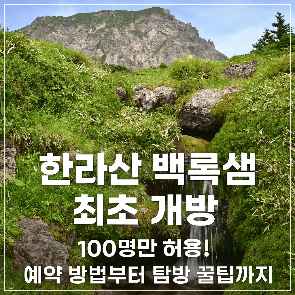 [한라산 백록샘 최초 개방] 100명만 허용! 예약 방법부터 탐방 꿀팁까지