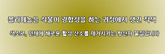  폴리페놀은 식물이 광합성을 하는 과정에서 생긴 적색 색소로, 인체에 해로운 활성 산소를 제거시키는 항산화 물질입니다