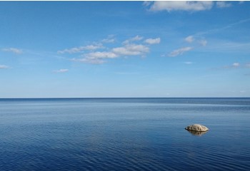 동거인 전입신고