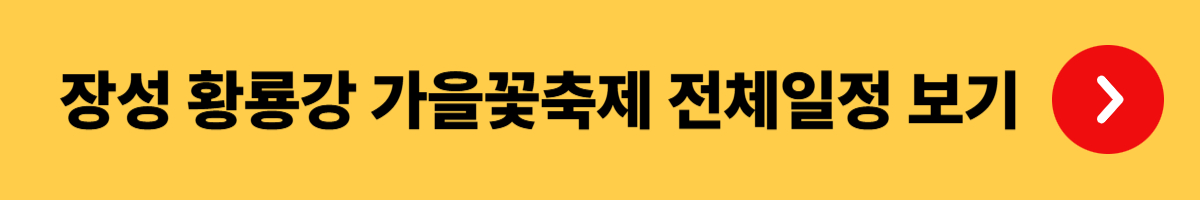 장성 황룡강 가을꽃축제 기본정보, 최고의 포토존 위치, 추천관람코스