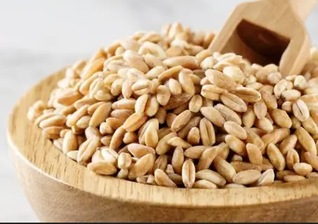 파로 만드는 방법