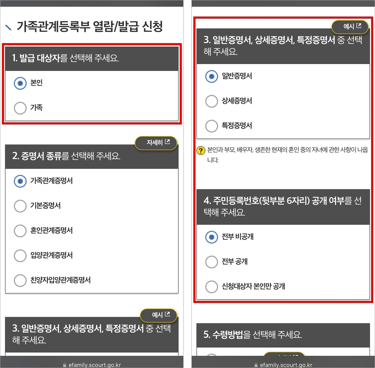 증명서의 발급 대상자를 선택한 후 증명서 유형을 선택하고, 주민등록번호 공개 여부를 선택