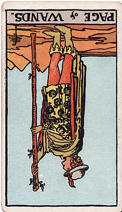 마이너 카드 완드 시종(Page of Wands) 정방향 역방향 해석