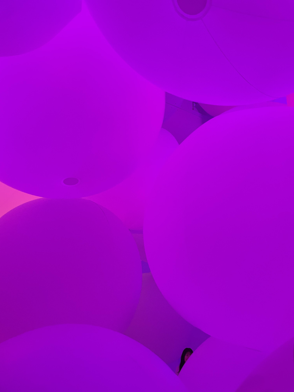 일본 도쿄 팀랩플래닛 관람-평면화하는 세 가지 색과 모호한 아홉 가지 색