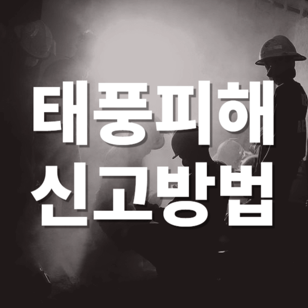 태풍 피해 신고방법
