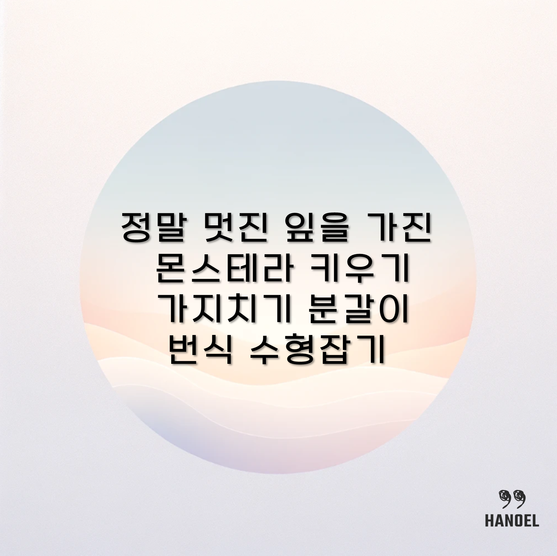정말 멋진 잎을 가진 몬스테라 키우기 가지치기 분갈이 번식 수형잡기