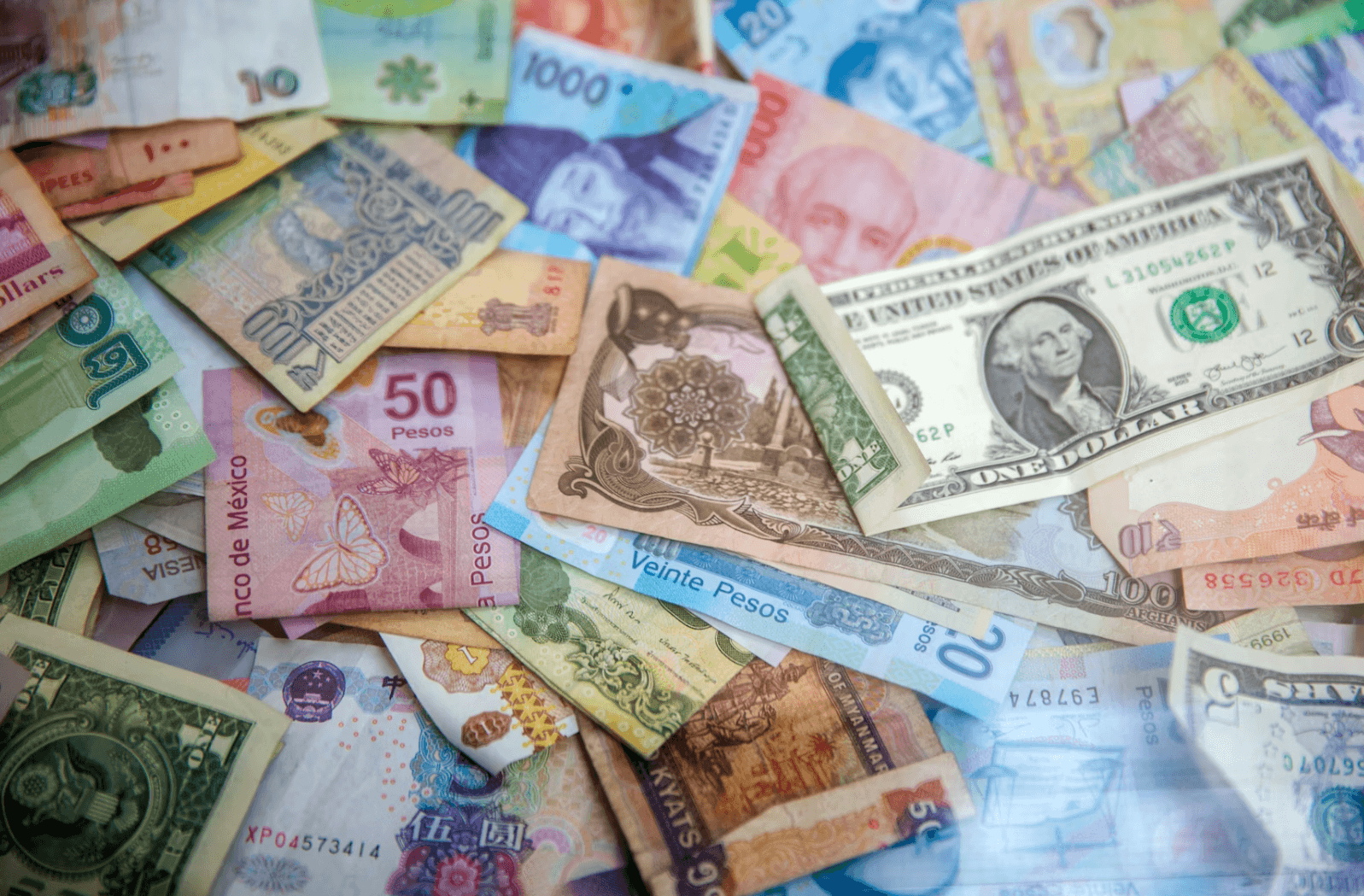 2차 민생지원금