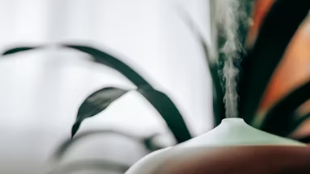 미세먼지 앱 추천 및 실시간 농도 확인 가이드