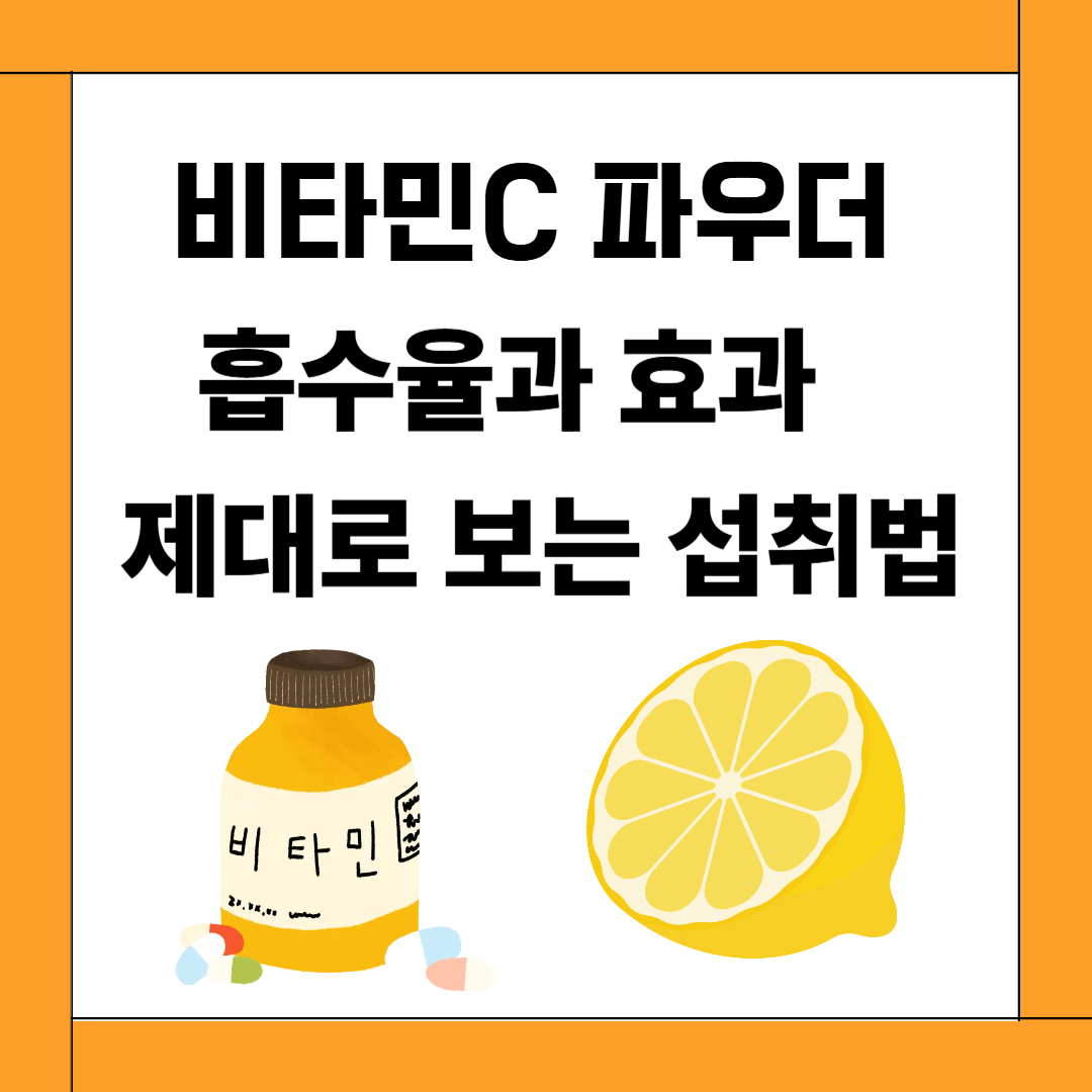 비타민C 파우더, 흡수율과 효과 제대로 보는 섭취법