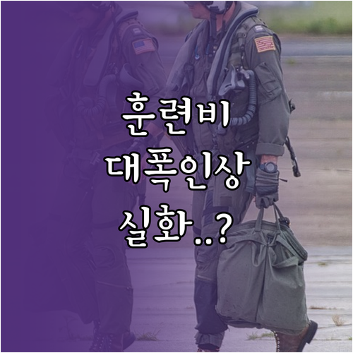 2026년 예비군 훈련비 인상 및 동..