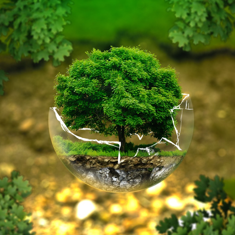 환경 보호와 관련된 특이한 직업들