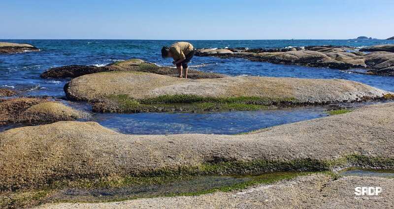 아야진-해변-해수욕장-스위밍터틀-강원도-고성-오션뷰-카페