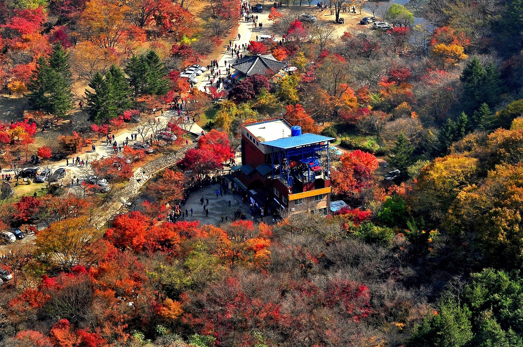 내장산