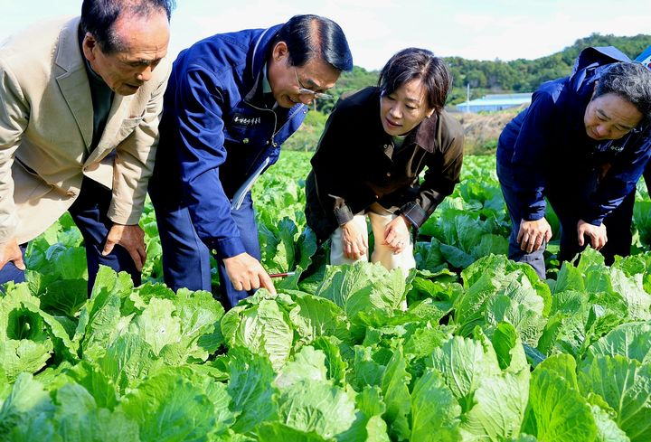 농지 전수조사 위반 의심 필지와 현장 확인 관련 자료