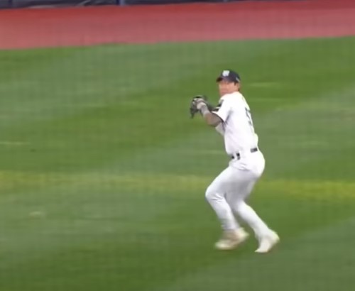 pro-baseball-img