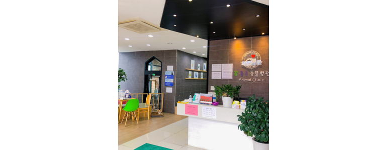 양평군 동물병원