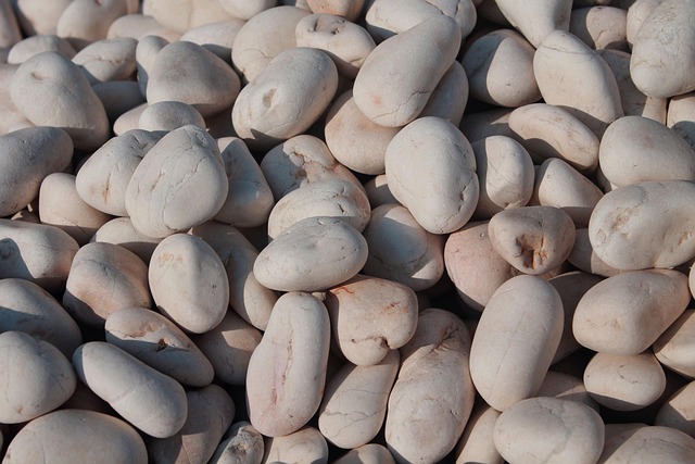 쿠팡와우회원해지하는법 완벽 가이드! PC·모바일 모두 가능