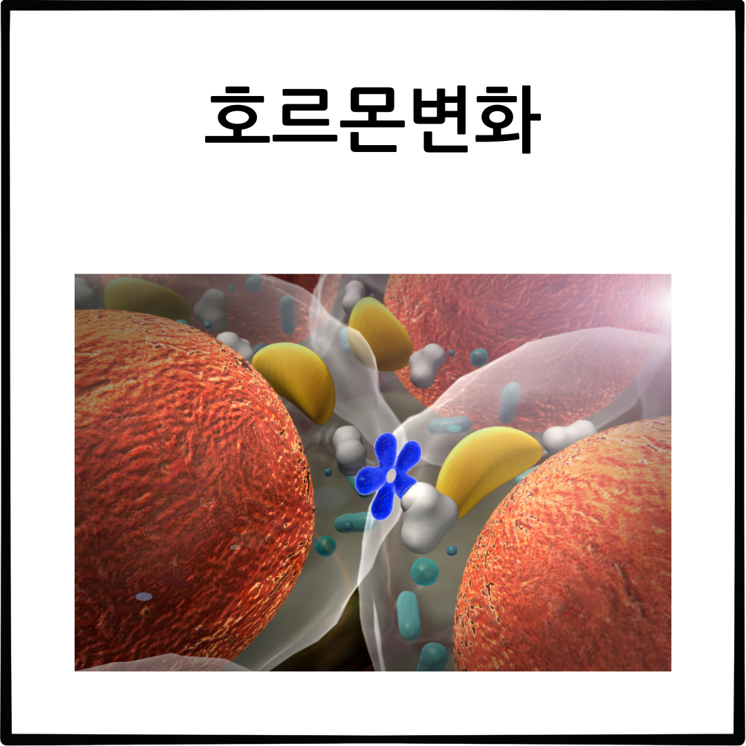 두통의 원인과 종류 치료 방법