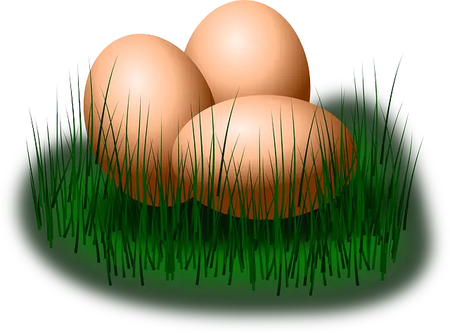 구운계란 만드는 방법 황금 레시피