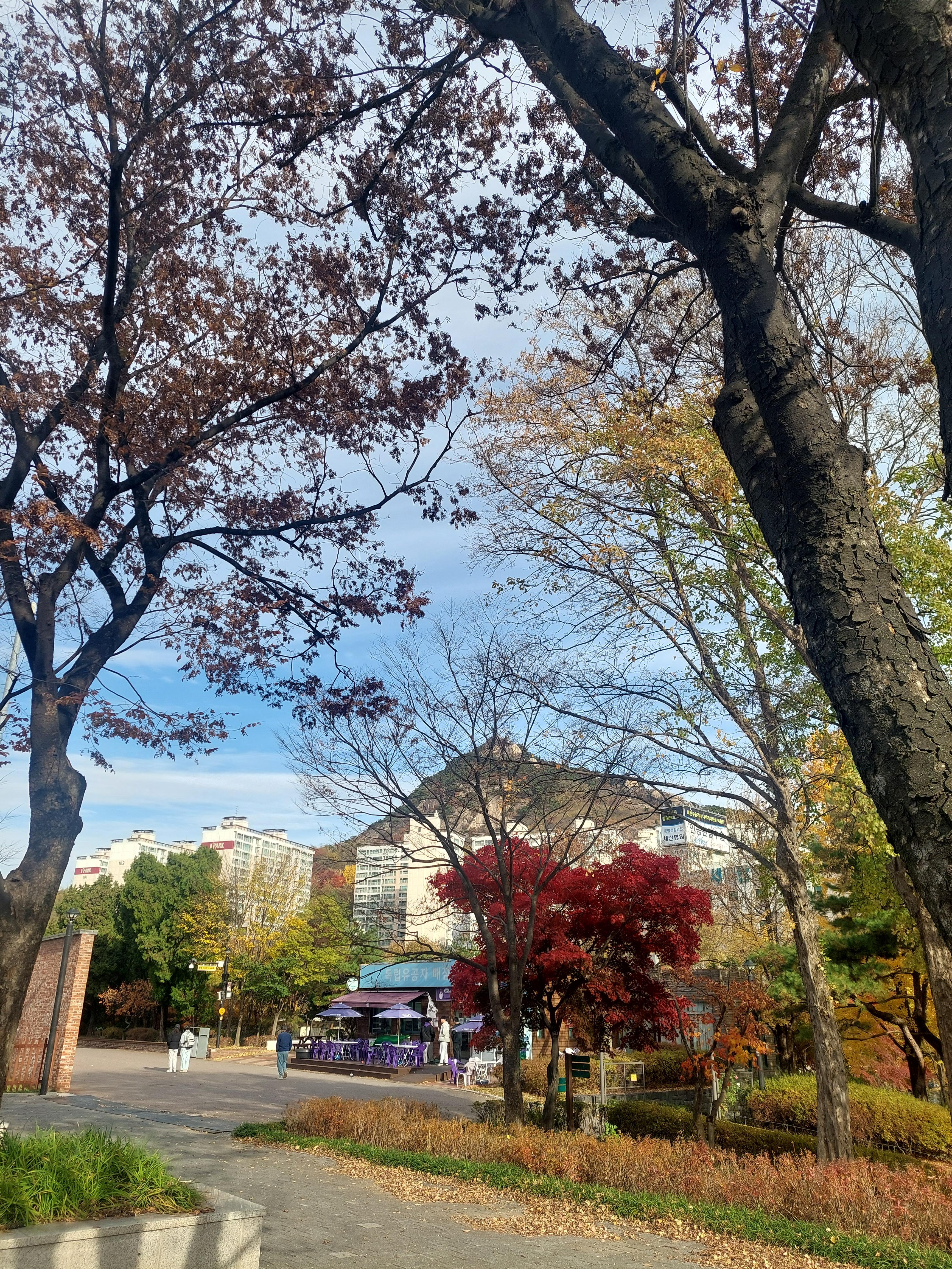 안산
