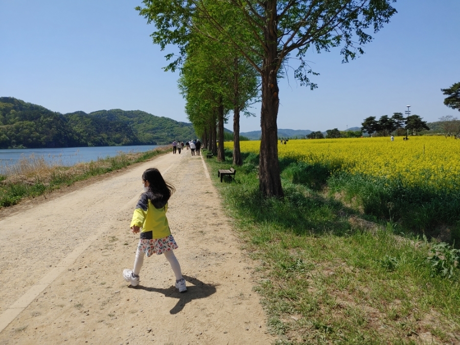 남지 유채공원12