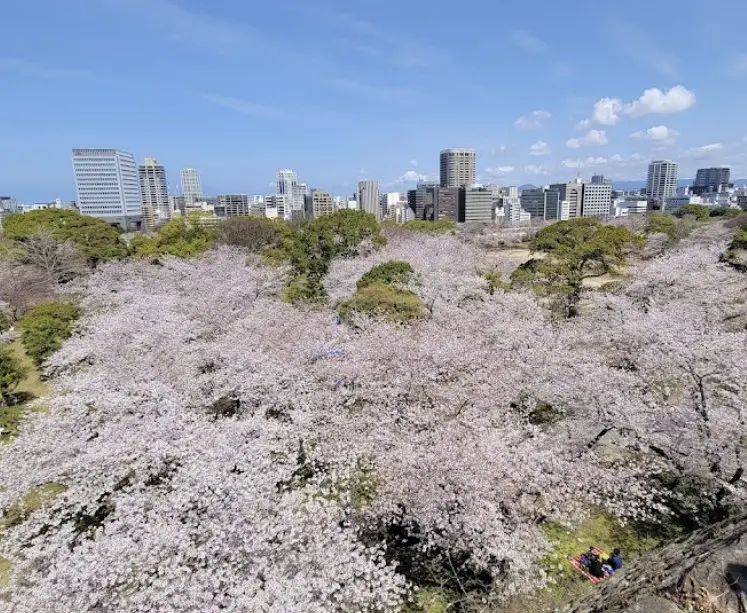 인기-해외여행지-일본