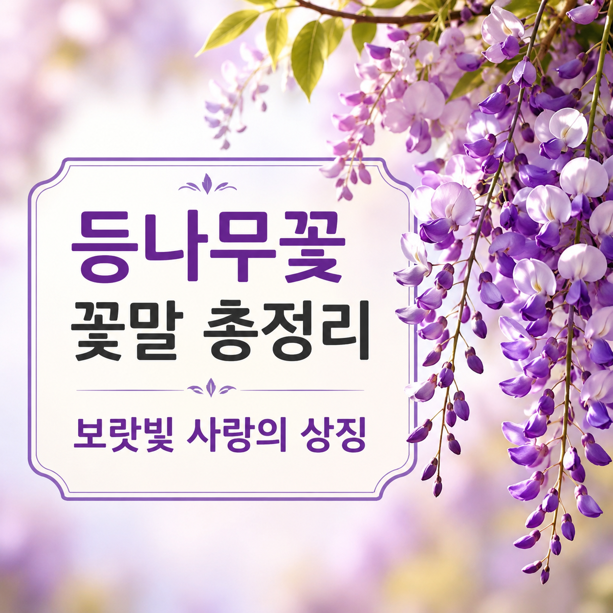 등나무꽃 꽃말