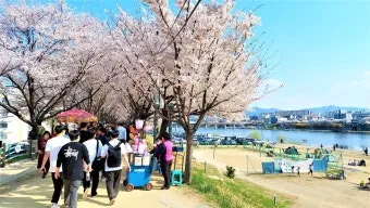 대구 가볼만한곳 베스트10 근대골목 수성못 노포맛집 여유 코스_11