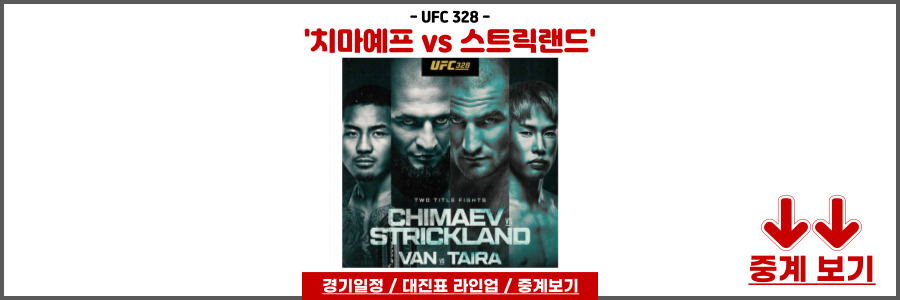UFC 328