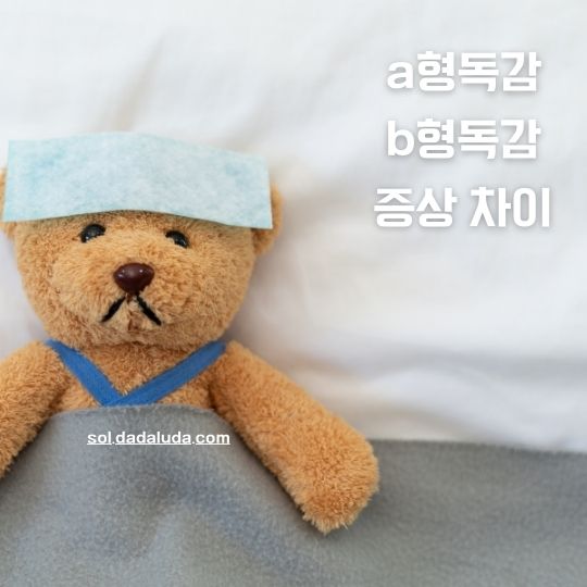 a형독감 b형독감 증상 차이 격리기간