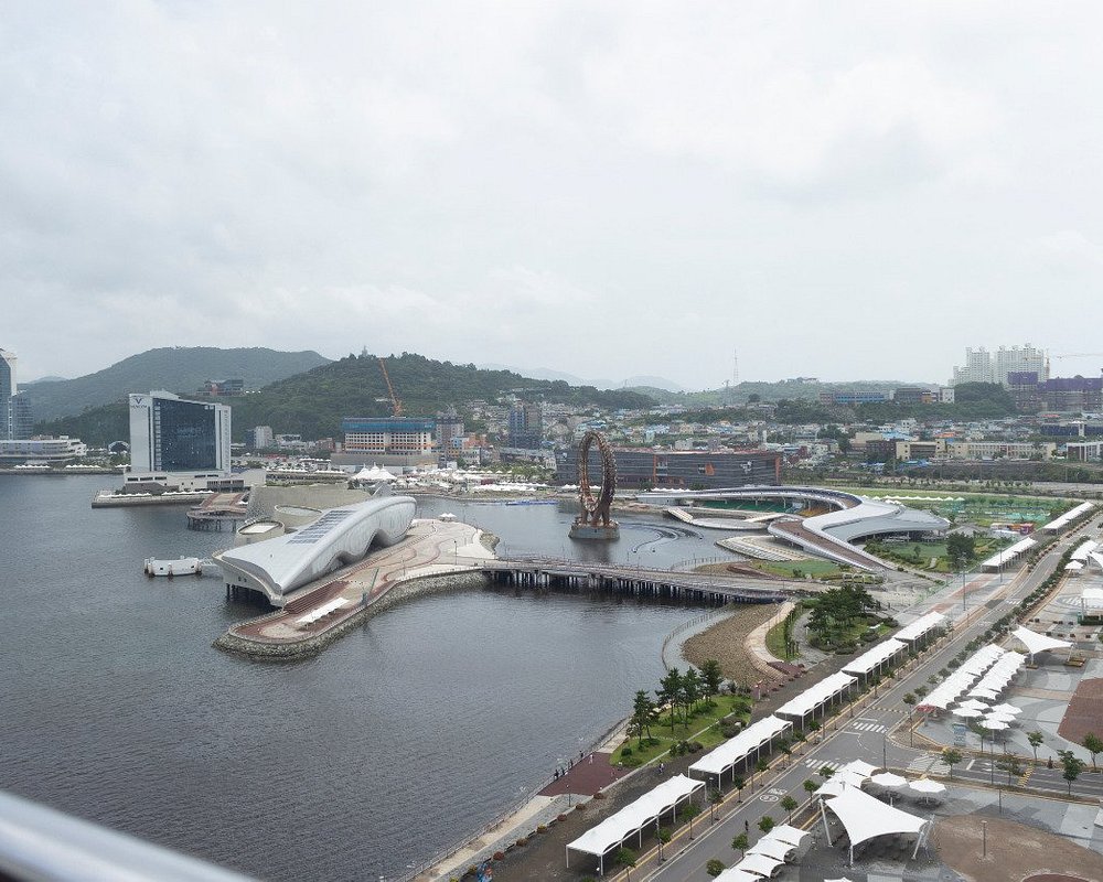 엑스포탁구장