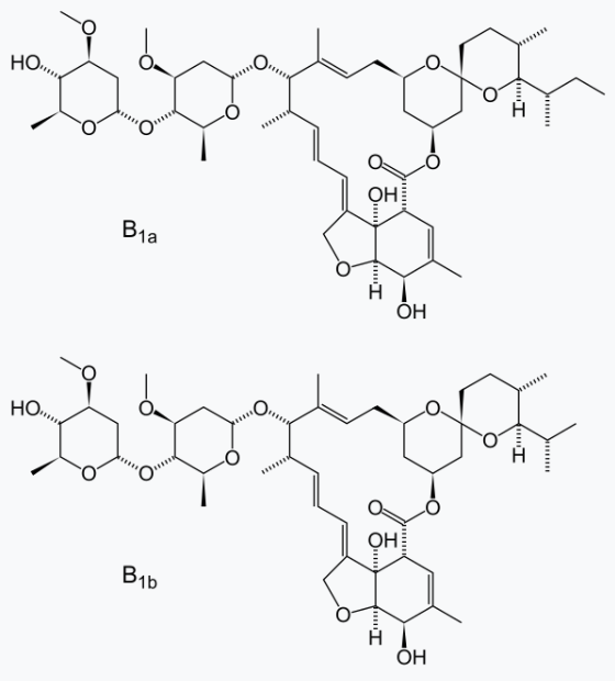 심장사상충약 이버맥틴 구조