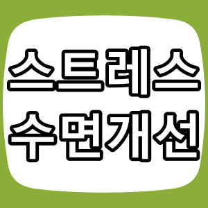 스트레스 해소와 수면 개선 핵심 성분 - 마그네슘, L-테아닌, GABA