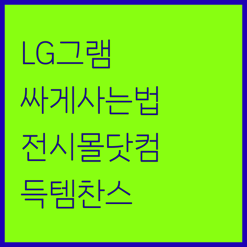 LG 그램 싸게 사는 법 전시몰닷컴 ..