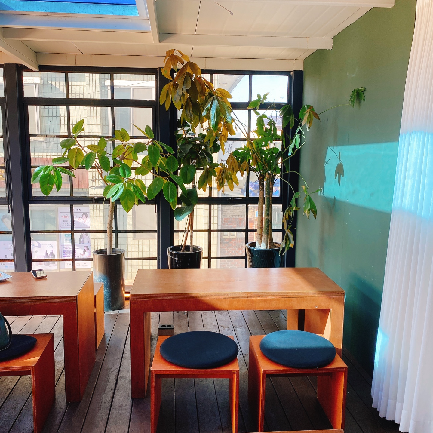 제주 연삼로 사라봉공원 솔트스톤 카페