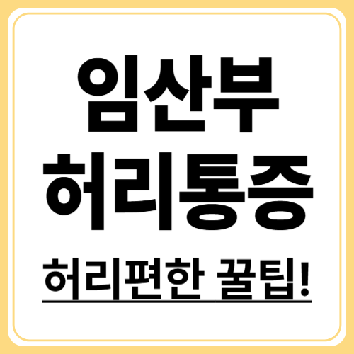 임산부 허리통증 이렇게 줄이세요! 전문가가 말하는 안전한 방법