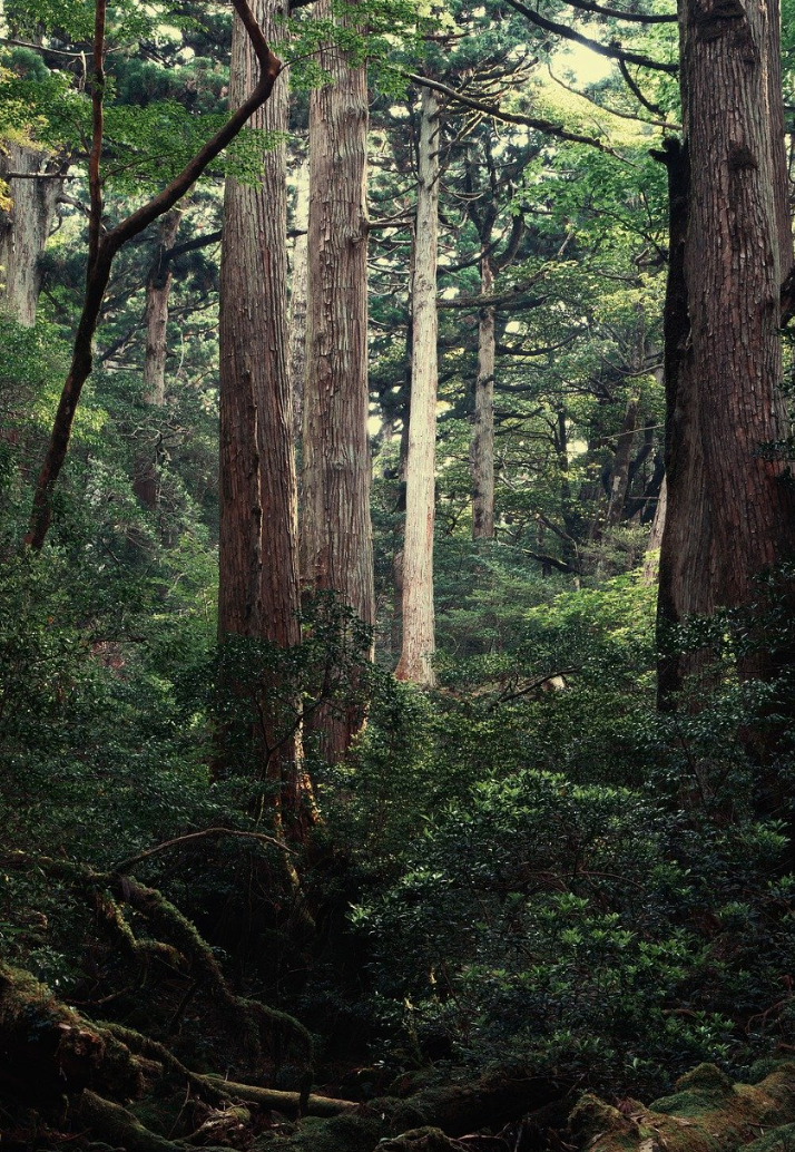 영화 속 비밀스러운 촬영지 여행 &ndash; 영화에 나왔지만 관광객이 많지 않은 명소