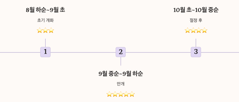 통도사 메밀꽃 개화 시기 월별 정리 이미지