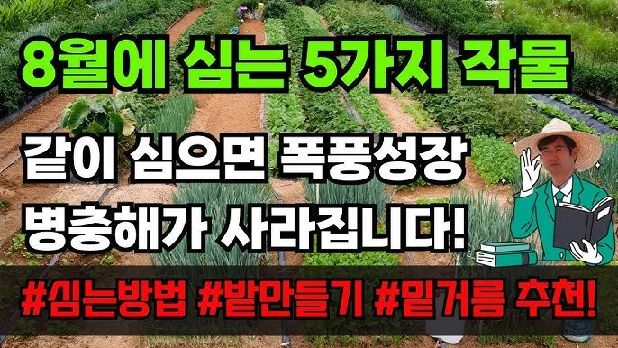 8월에 심는 밭작물 모종 채소 재배법 알아보기_3