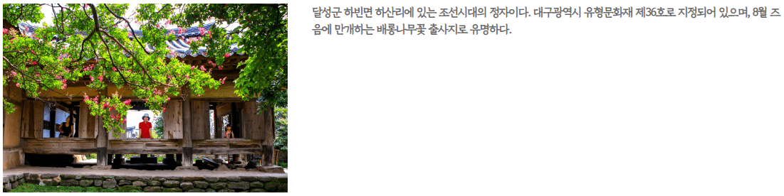 비슬산 참꽃 문화제 소개합니다.