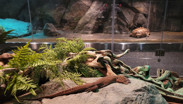 가평 신비동물원