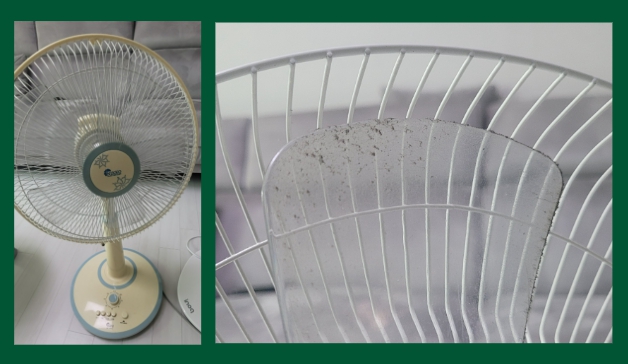 선풍기 청소