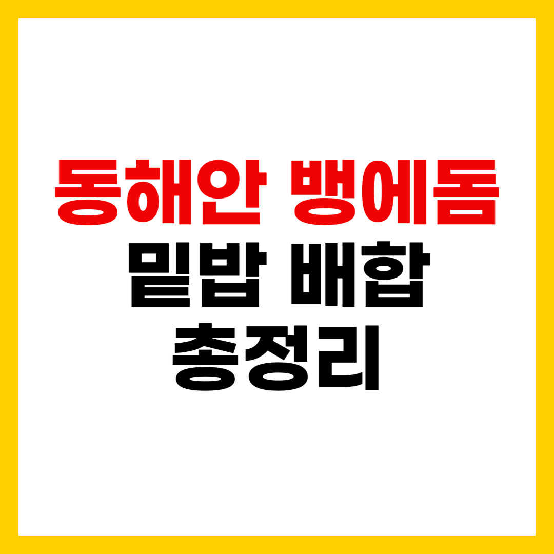 동해안 벵에돔 낚시 빵가루 밑밥 배합의 모든 것 총정리