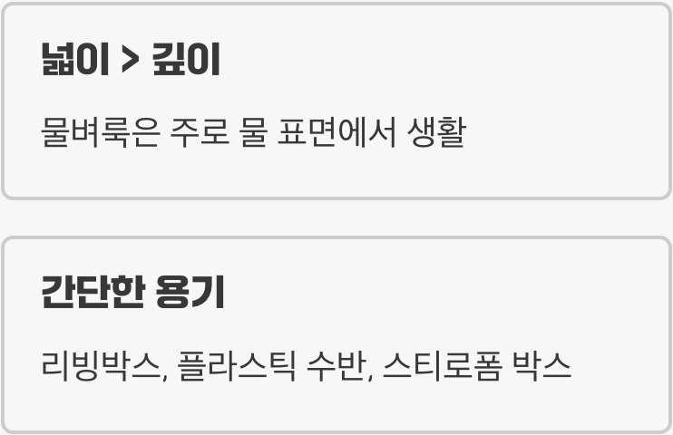 배양통 준비, '넓고 얕은' 집이 최고