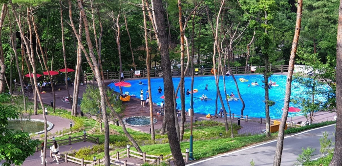속리산 숲체험휴양마을