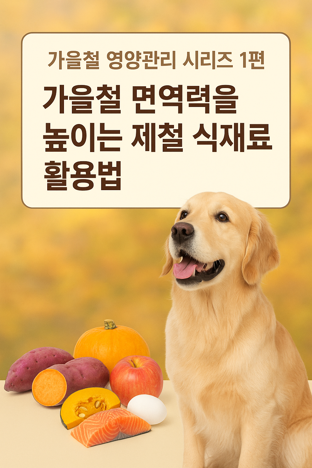 가을철 면역력을 높이는 제철 식재료 활용법 이미지