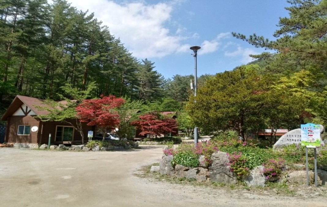 태백-고원-자연휴양림