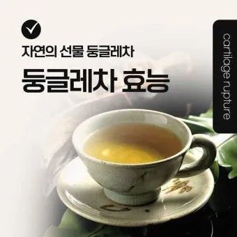 둥글레차 효과 건강에 좋은 차 효능 정리_21